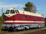 09. Oktober 2010, Zum Weimarer Eisenbahnfest war auch die ehemalige DR Lok 119 199 ausgestellt.