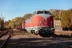 V200 017 im Eisenbahnmuseum Bochum Dahlhausen, Oktober 2024.