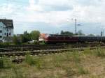 V200 116 bei den Bahnwelttagen in DA Kranischstein am 4.6.11