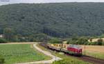 221 124-1 der SGL mit einem  Bauzug  bei Wernfeld 22.6.11