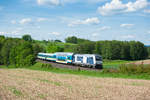 223 081 mit dem ALX 79854 (Hof Hbf - München Hbf) bei Lengenfeld, 01.06.2019