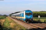 223 063 mit dem ALX84101 (Lindau Hbf-München Hbf) bei Lindenberg 13.7.20