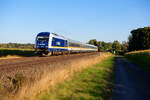 223 081 DLB mit ALX 79861 (München Hbf - Hof Hbf) bei Wiesua, 18.09.2020