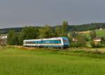 223 065 mit einem Alex-Wagen am 20.07.2014 bei Teisnach.