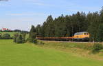 225 010-8 mit dem Bauz 87048 (Augsburg Hbf-Weißensburg) bei Riedels 13.7.20