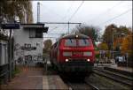 225 117 und eine Schwesterlok sind nach Bochum unterwegs. (Bochum-Riemke am 04.11.2010)
