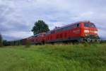 225 811 und 133 als Sonderzug zum 75. Jhrigen Jubilum am 25.8.12 auf der Ostertalbahn Schwarzerden-Ottweiler/Saar