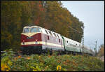 Der exPRESSzugreisen-Sonderzug DPE 1820/1821 Dresden - Wernigerode u. z. wurde am 31.10.2024 mit drei verschiedenen Lokomotiven befördert. Von Dresden bis Zwickau/Sachsen war Lok Nr. 1 die Elektrolok PRESS 145 030-7 eingeteilt. In der westsächsischen Industriestadt erfolgte der Lok- und Traktionswechsel von Elektro- auf Dampf- und Dieseltraktion. Die Loks Nr. 2 Dampflok PRESS 01 0509-8 mit Zusatztender und Nr. 3 Diesellok PRESS 118 757-4 beförderten den Sonderzug bis ans Ziel am nördlichen Harzrand und konnten kurz vor Gößnitz/Thüringen fotografiert werden. Die Diesellok am Zugschluss war notwendig, um den gesamten Zug für die Rückfahrt in Halberstadt über das Gleisdreieck zu drehen. Das Fehlen einer funktionsfähigen Drehscheibe in Wernigerode und Umgebung erforderte diesen Aufwand.
