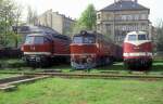 118 202  Dresden - Altstadt  29.05.95