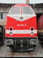 229 188-8 DB steht anlässlich des Sommerfests unter dem Motto  Diesellokomotiven der ehemaligen DR  vor dem Ringlokschuppen des DB Musems Halle (Saale).
[25.8.2018 | 12:06 Uhr]