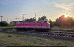 Kurz Aufenthalt am Bahnsteig gehabt, als dieses Schmuckstück kam und stehenblieb: 229 181-3 (119 181-6) solo auf den Gütergleisen in Magdeburg Hbf.