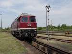 130 101-9 hier in Staßfurt am 06.06.15 zum Eisenbahnfest.