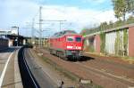 233 462 Lz am 17.10.2008 in Hamburg-Harburg