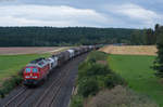 232 262-6 mit dem EZ 51717 Richtung Hof bei Marktleuthen, 04.09.2016