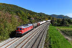 Am 09. Oktober 2022 verschlug es mich ins Nürnberger Land. Ich machte mir zwar wenig Hoffnung auf ein Eisenbahnfoto, dann kam allerdings die Meldung, dass der sonntägliche EZ 45362 von Cheb nach Nürnberg Rangierbahnhof im Pegnitztal unterwegs sei. Kurzerhand wurde die bekannte Fotostelle bei Hersbruck aufgesucht, die sich an diesem Tage in den schönsten Herbstfarben präsentierte. Wenige Augenblicke, nach dem ich den Fußgängersteg über die Strecke erklommen hatte, erschien der an diesem Tage schön gebildete gemischte Güterzug auch schon auf der Bildfläche. 