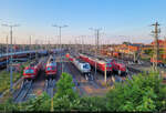 Zugbildungsanlage (ZBA) Halle (Saale): Unter anderem 193 384-5 (Siemens Vectron), 232 469-7 (132 469-8), 193 366-2  Einziganders.  (Siemens Vectron), 233 511-5 (232 511-6 | 132 511-7) und 296 045-8 (290 045-4 | DB V 90 045) haben sich zur Nachtruhe an der Berliner Brücke versammelt.

🧰 DB Cargo
🕓 20.5.2024 | 20:24 Uhr