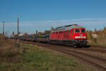 Nach langer Zeit mal wieder ein Ludmilla-Beitrag. Am 24.10.2024 ging es nach Brandenburg-Altstadt um dort einen der Züge aus dem Stahlwerk abzulichten. Hier ist 232 569-4 mit einem Ganzzug Res-Wagen beladen mit Drahtrollen auf dem Weg in Richtung Brandenburg Hbf zu sehen.