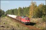 232 471 sieht dem baldigen Ende ihrer zugelassenen Laufzeit entgegen. Hier jedoch ist sie bei schnstem Herbstwetter unterwegs im Tagebaugebiet bei Knappenrode mit einem Gterzug nach Horka Gbf, 13.10.08.