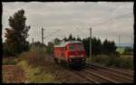 232 384 Solo gen Landshut am 29.09.2010 in Kfering.