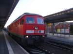 232 702-0 steht am 12.10.2009 Lz am Bahnsteig des Schweriner Hbf und wartet auf weiterfahrt nach Bad kleinen