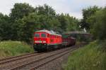 232 571 mit EZ 45334 am 11.08.2012 bei Rothenstadt.