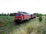 232 455 mit CS 61905 vor Mumsdorf (15.07.2006)