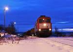 232 283-2 (WFL) fuhr am 16.02.21 wieder einen Holzzug von Triptis nach Kaufering. Hier zu sehen in Triptis.