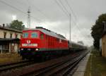 Bei Bindfadenregen am 01.10.09 zieht die exzellent herausgeputzte MEG 313, ex 232 068, den  Zug der Freiheit  durch den Haltepunkt Frankenstein nahe Freiberg.