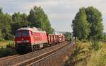 233 306-0 zu sehen am 17.08.17 (51617) in Waldershof.