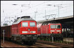 Die hier am 1.6.2007 im Bahnhof Berlin Schönefeld wartende DB 233450-6 wird daneben von dem RB nach Senftenberg mit der 143346-5 passiert.