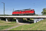 233 636-0 (232 636-1 | 132 636-2) als Tfzf bewegt sich am Ufer der Umflutehle auf den Bahnhof Biederitz zu.