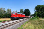 233 698 DB Cargo mit einem gemischten Güterzug bei Eschldorf Richtung Weiden (Oberpf), 08.08.2020