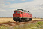 233 219 war am 08.07.22 als Leerfahrt unterwegs nach Baaleberge. Fotografiert in Edderitz.