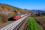 233 698 DB Cargo mit dem EZ 45368 (Cheb - Nürnberg Rbf) bei Hersbruck rechts der Pegnitz, 09.11.2020