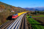 233 662 DB Cargo mit dem KT 45398 (Michalovce - Haerkingen Post) bei Hersbruck rechts der Pegnitz Richtung Nürnberg, 09.11.2020