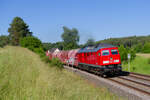 233 321 DB Cargo mit GA 44330 (Kadaň - Nürnberg Rbf) bei Neuhaus (Pegnitz), 21.06.2021