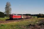 233 206 mit dem Arlbergumleiter CFN 45198 bei Gnzach (15.08.2007)