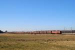 233 043 mit einem Leer-Kohlezug vor Moosburg (19.02.2008)