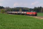 233 040 mit CFN 63172 in Riedles (22.04.2009)