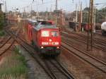 Ludmilla der BR 233 unterwegs mit Skoda - Autozug in Richtung Leipzig am 04.07.09 um 20.20 Uhr bei tiefstehender Sonne.