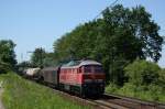 233 696 mit einem Gterzug am 3.6.10 in Ahlten.