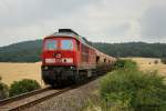 233 295 mit dem Buna-Zug am 3.8.2010 kurz vor den Bedarfshalt Borneke.