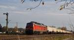 233 511 -5 mit einem Kesselzug am 03.11.2010 in Tssling.