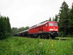 233 288 mit FZ 56521 in Kastl (01.06.2006)