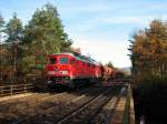 233 206 mit Schotterzug bei Neunkirchen am Sand (16.11.2006)