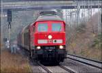 233 326-8 kommt mit dem TEC45501 aus Mukran.   (Stralsund am 18.11.06) 