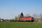 233 176 mit FZ 56697 in Tling (14.03.2007)