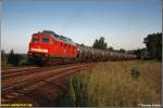 Am Abend des wunderschnen 02.06.08 kmpft sich 241 353 mit einem vollen Kesselzug die Steigung vor Wittgensdorf hinauf.