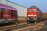 Lok 241 353 auf dem Bahnhof Torgelow vor einem Holzzug und links ist der einfahrende DB Lint 41 (Szczecin) mit Spiegelung der EBS Lok zu sehen. - 10.02.2017