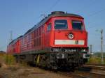 241 449-8 und 232 252-7 standen am 13.08.12 im Hbf Zwickau.